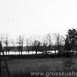 Blick zum Kühnauer Park, 1938.