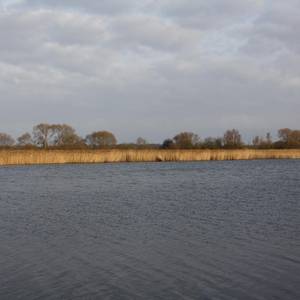 Kühnauer See