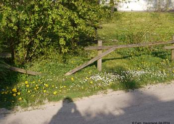 Renovierung Spielplatz