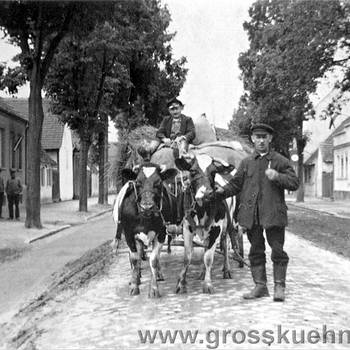 Ein Blick in die Kattowitzer Straße (heute Neekener Straße), Höhe Hof Kallenbach. Die Aufnahme datiert ebenfalls um 1930.  Auf dem Wagen sitzt Otto Kilian, am Gespann sein Schwager Ludwig Schönemann.