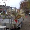 http://www.grosskuehnau.de/var/cache/thumb_6434_1169_1_100_100_r4_jpeg_img_5241.jpeg http://www.grosskuehnau.de/var/cache/thumb_6434_1169_1_100_100_r4_jpeg_img_5241.jpeg